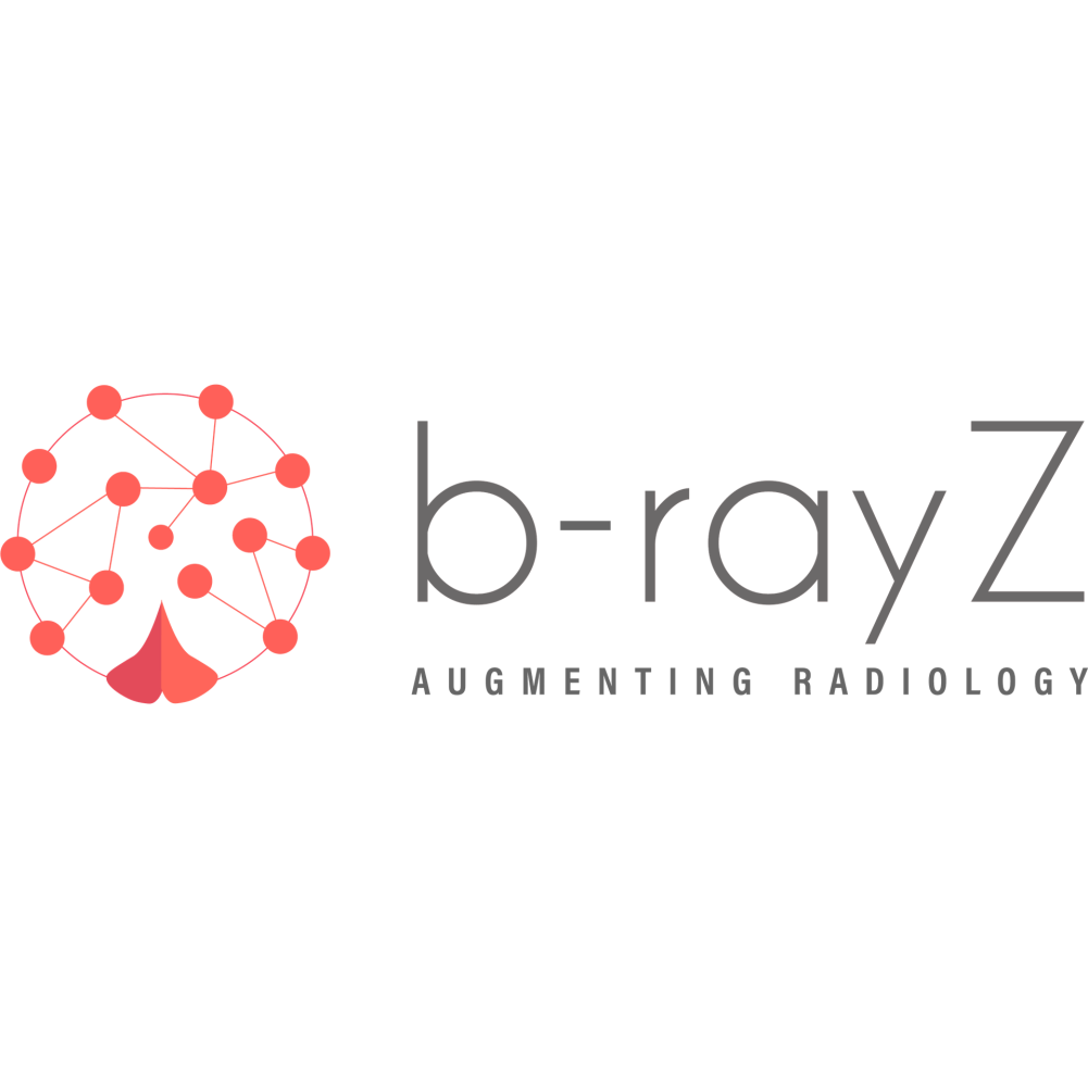 b-rayZ Logo